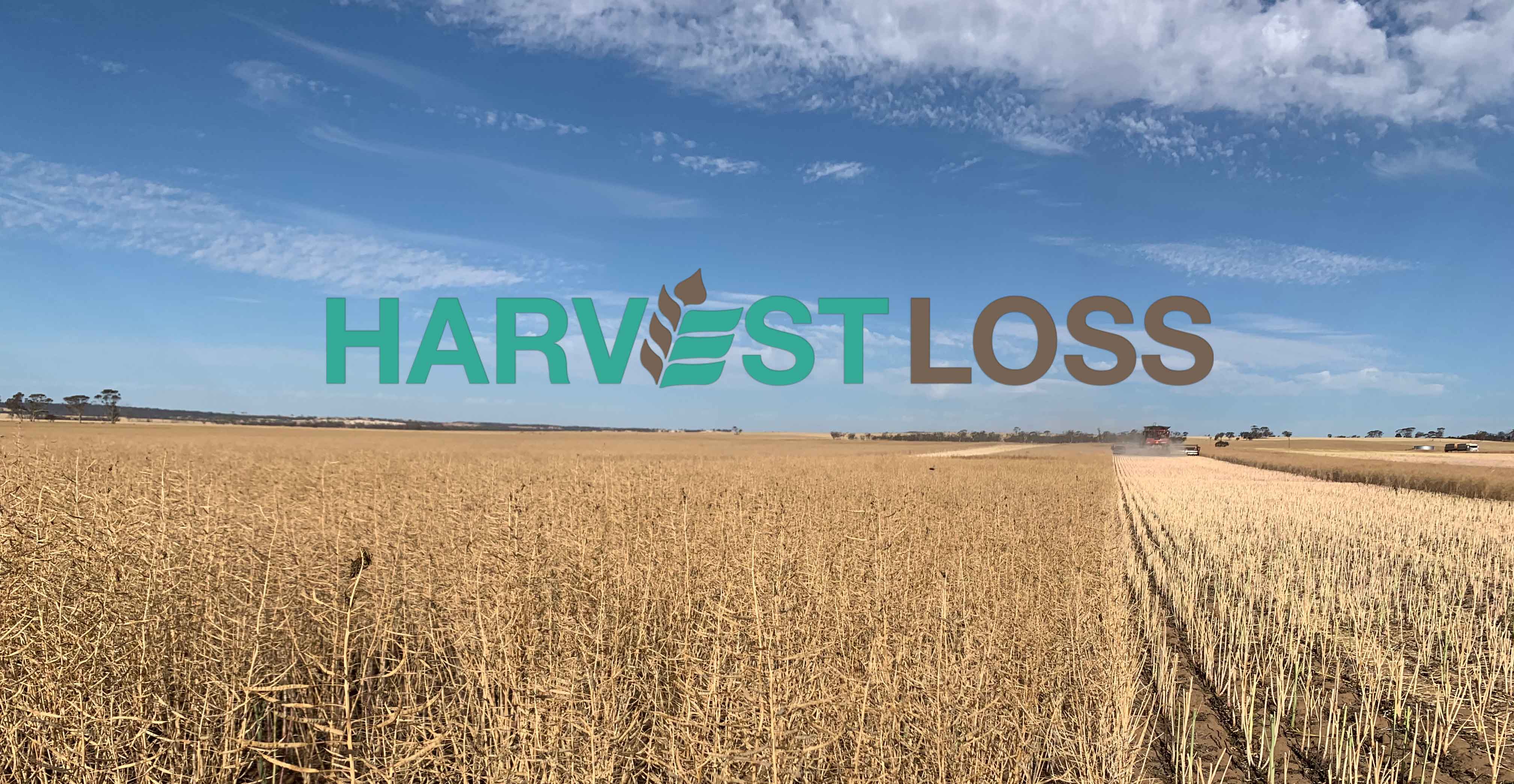 Harvest Loss